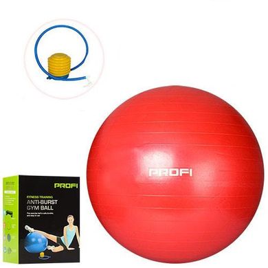 М'яч для фітнесу MS +1539 перламутр, насос, 2 кольори, кор., 18-25-13 см.