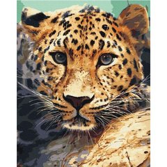 Картина за номерами "Портрет леопарда" ★★★