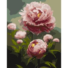 Картина по номерам "Пионы – цветы весны" 40x50 см Origami Украина