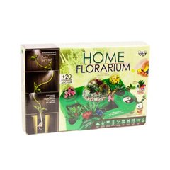Набір для вирощування рослин "Home Florarium" (укр)